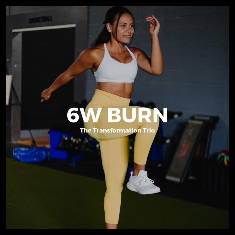 6 Week Burn Program