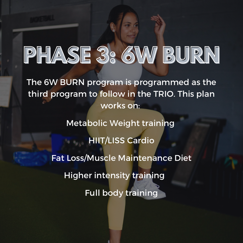 18 Week Transformation Trio Programs