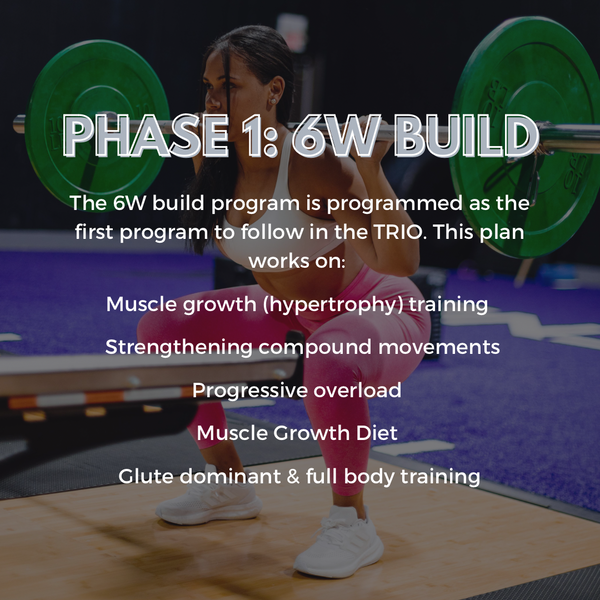 18 Week Transformation Trio Programs